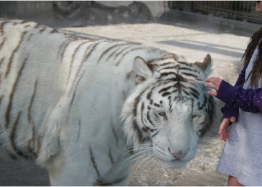 東武動物公園