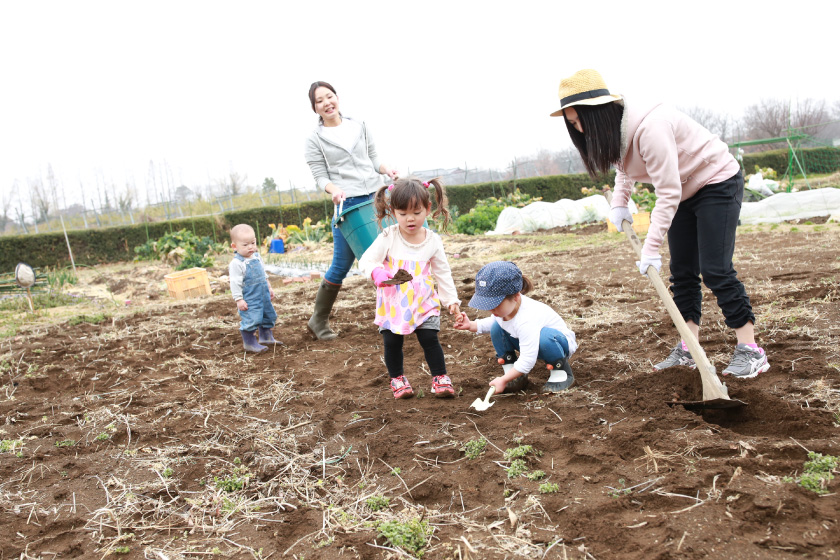 お友達と一緒に畑しごとをする親子たち