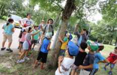 新しい村 昆虫博士検定