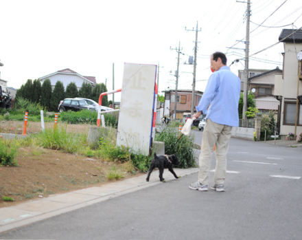 飼い犬のラミゆちゃんの散歩