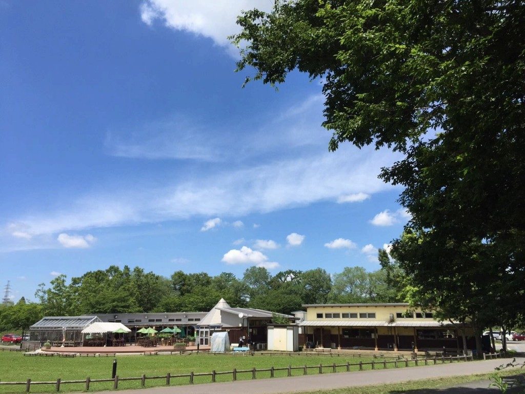 新しい村 市場遠景