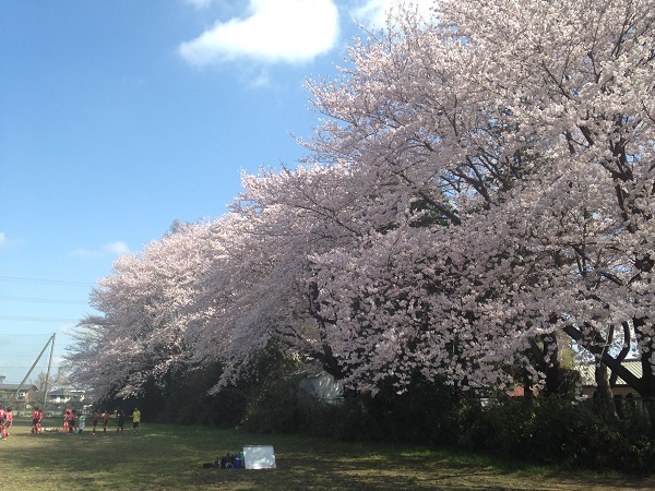 春の粂原