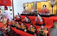 7段飾りのお雛様