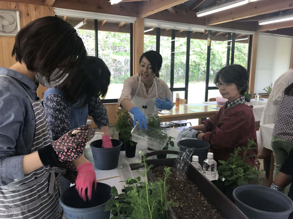 寄せ植え体験