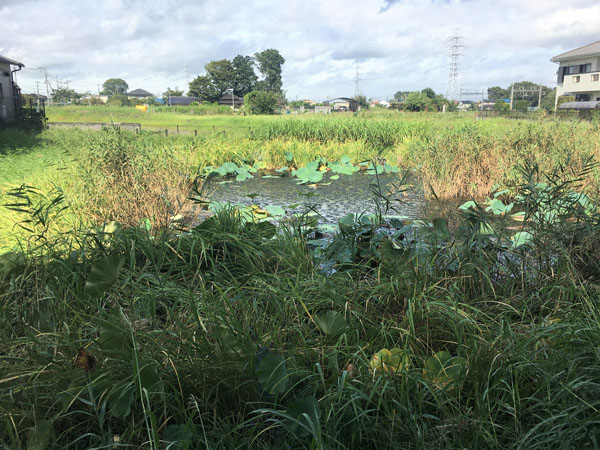 おいてけぼり