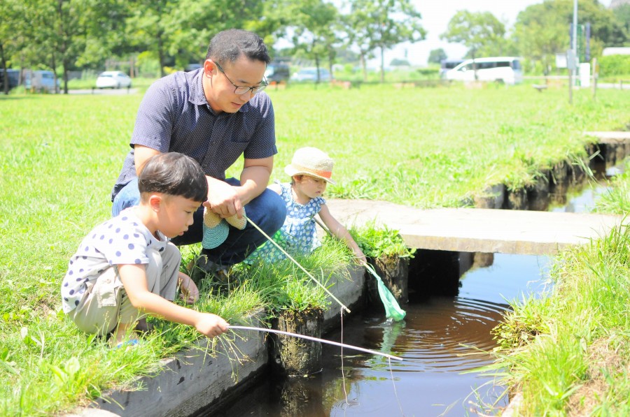 水路でザリガニ釣りをする親子