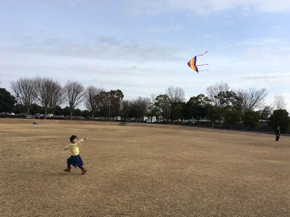 凧が上がったところ