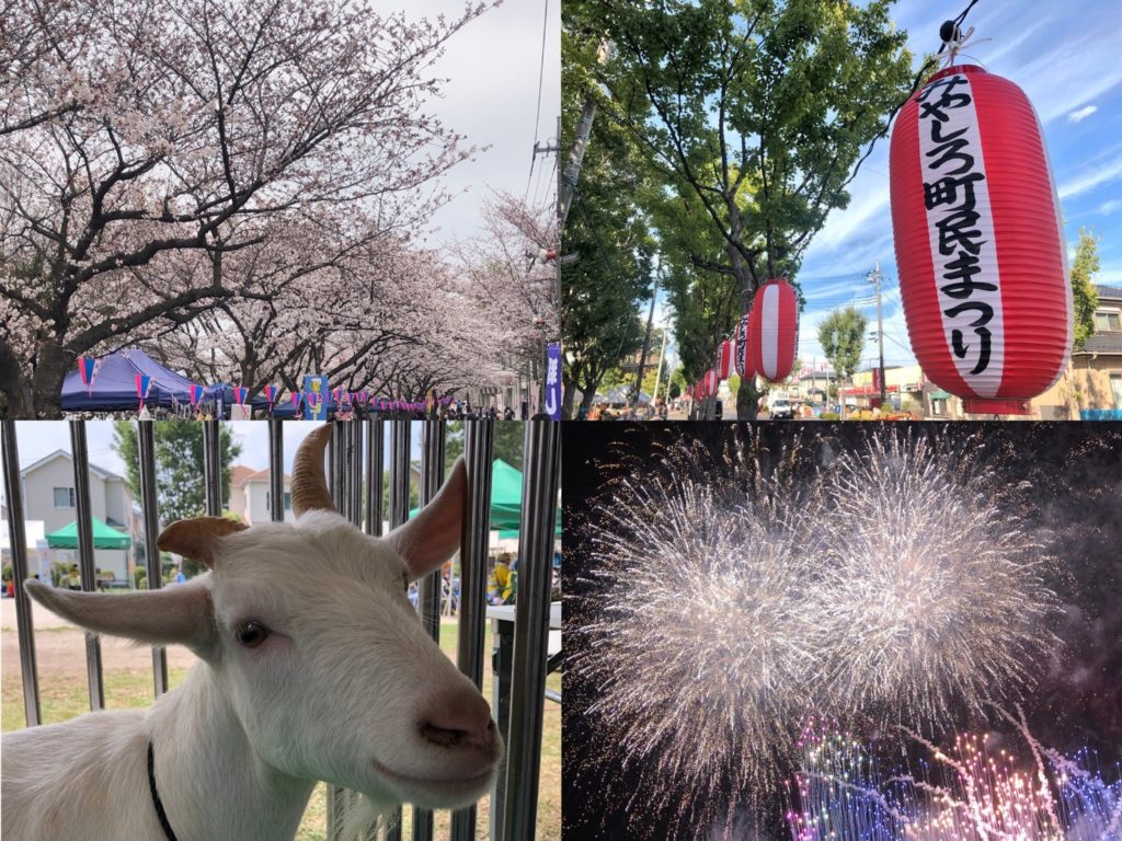 たまらなく いとおしい動物たち みやしろで暮らそっ