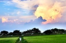 宮代の空と田園