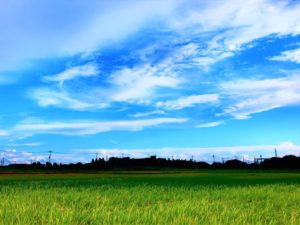 宮代の青空と田園
