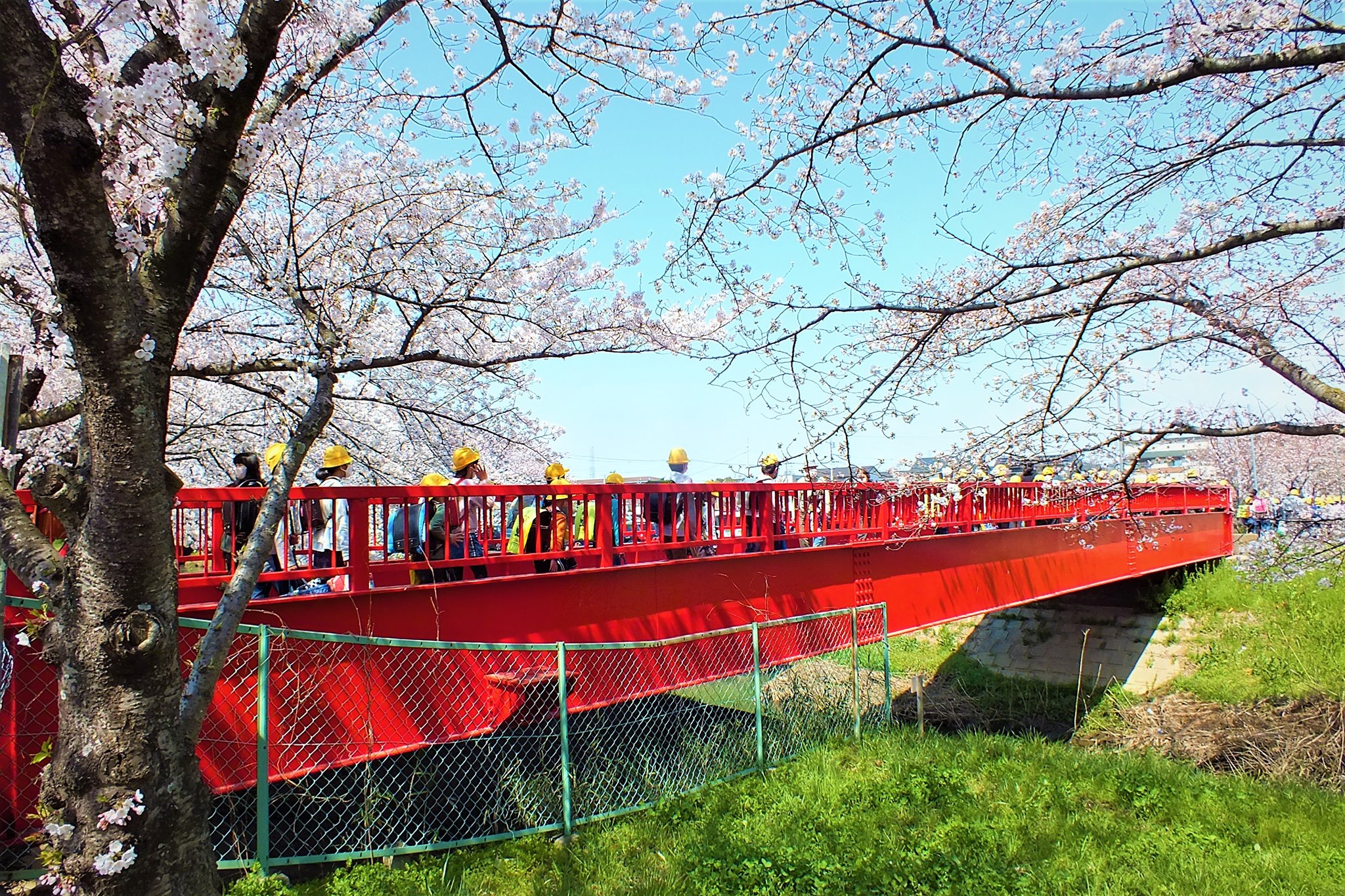 下校する小学生