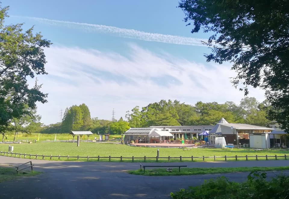 新しい村　森の市場結の写真