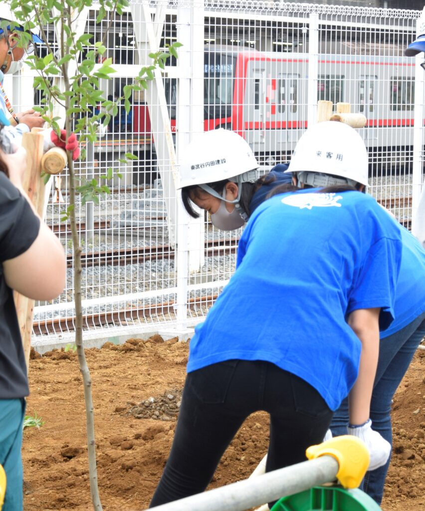 駅前西口に植えたイヌシデ