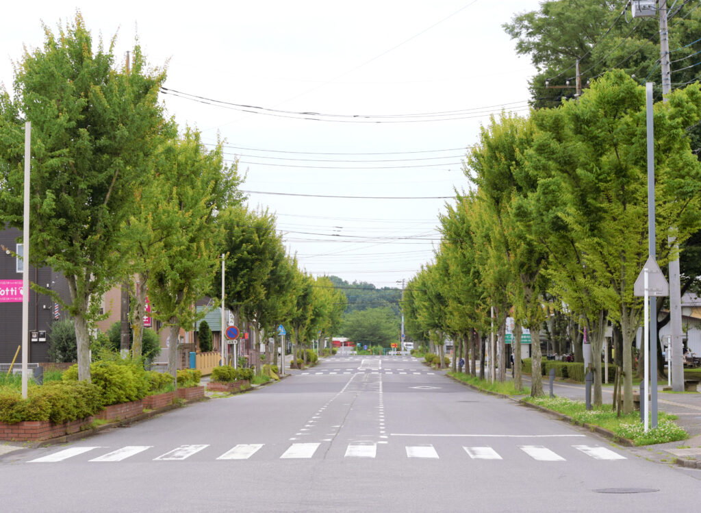 東武動物公園西口駅前通り