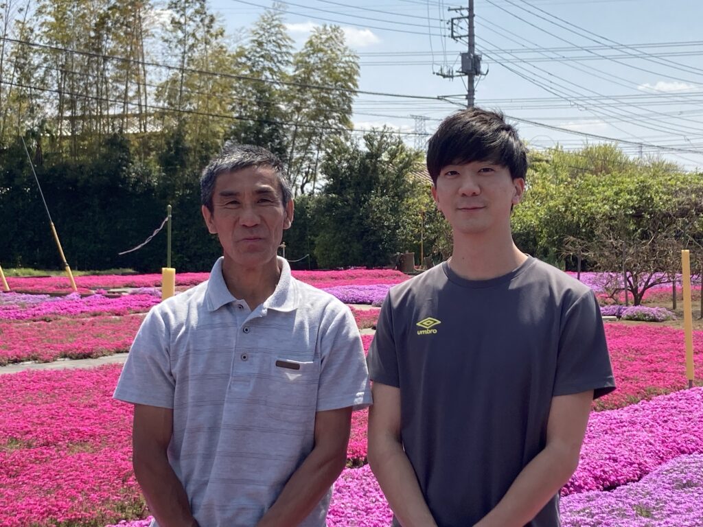 芝桜を育てる内田さん親子